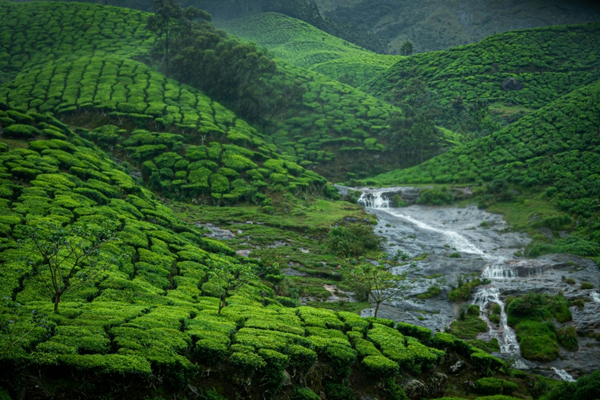 Best Taxi Services In Ooty
