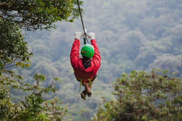 Group Tours In Ooty